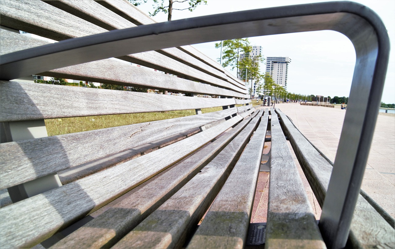 bank beach wooden bench free photo