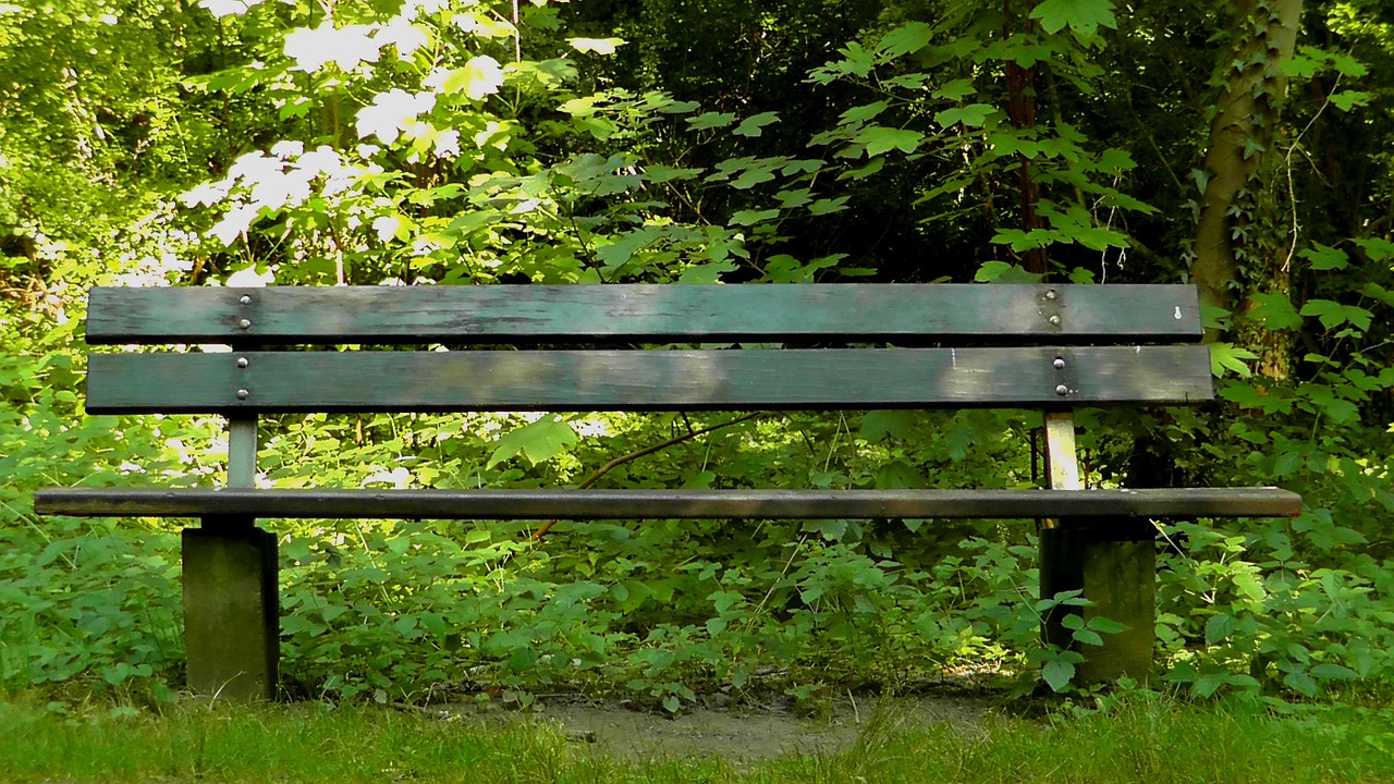 bank sit park bench free photo