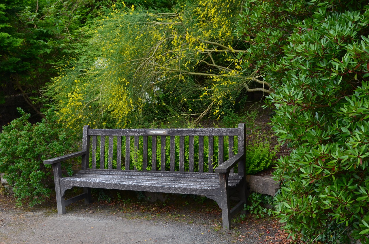 bank garden nature free photo