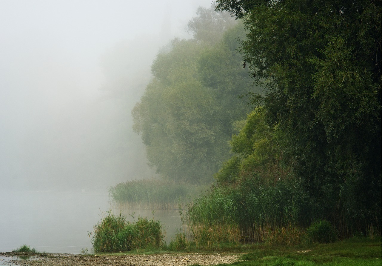 bank fog water free photo