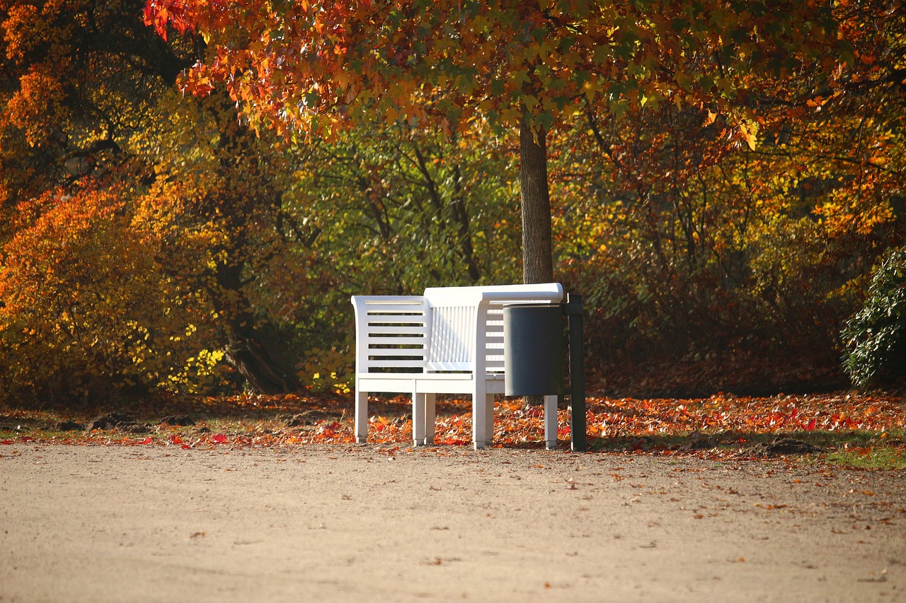 bank park bench autumn free photo