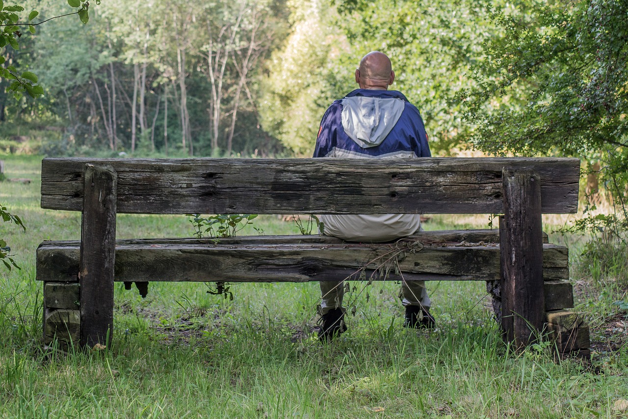 bank rustic wood free photo