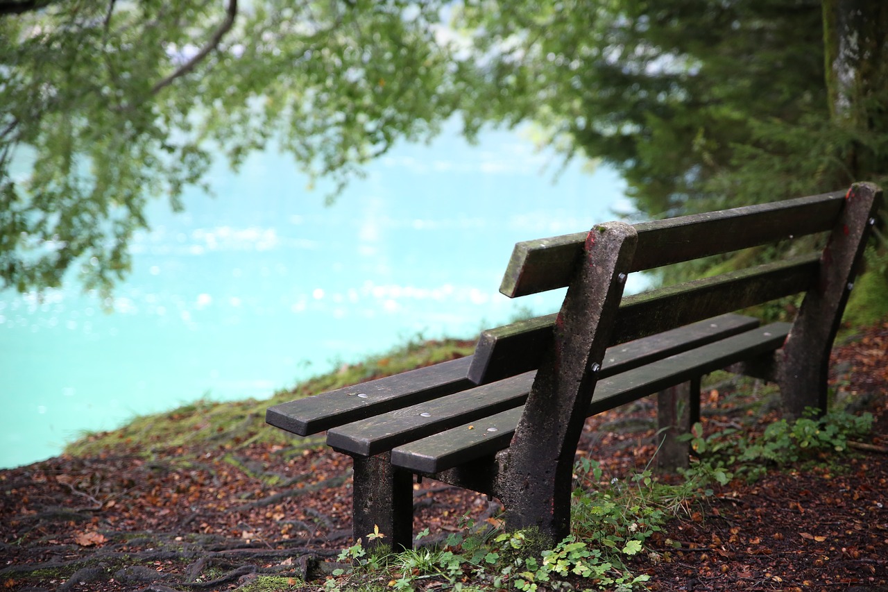 bank lake achensee free photo