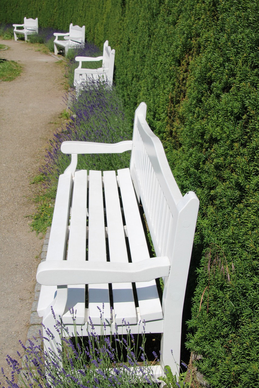 bank park bench white free photo