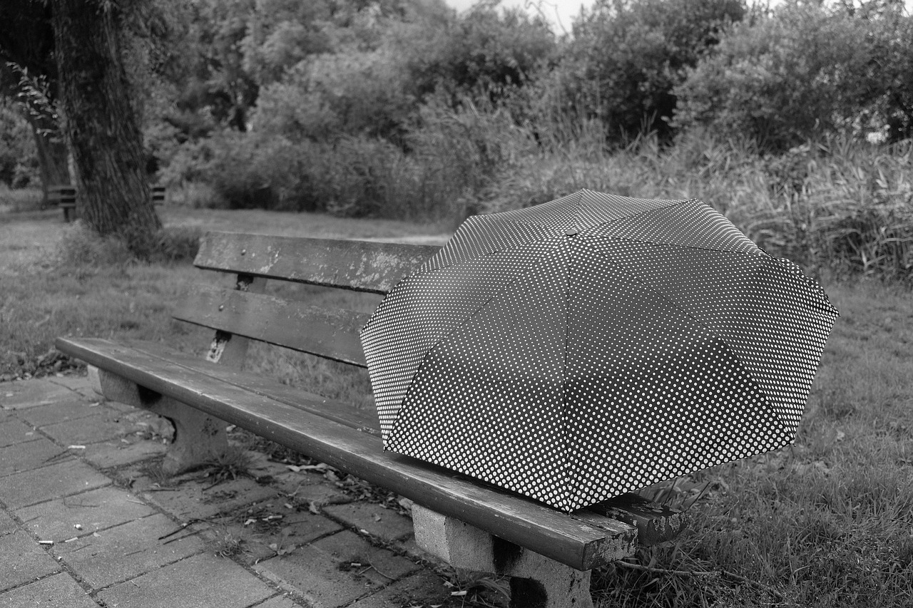 bank wooden bench sit free photo