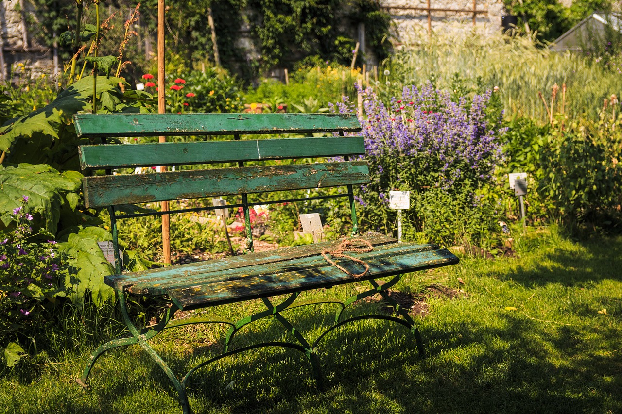 bank wood bench free photo