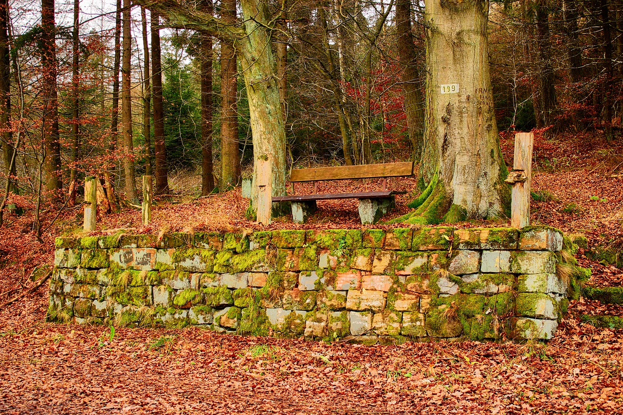 bank wooden bench sandstones free photo