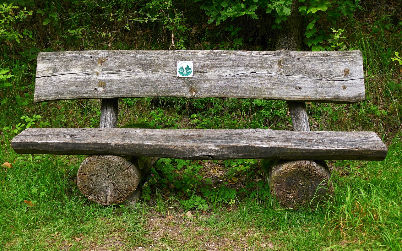 bank wooden bench tranquility base free photo