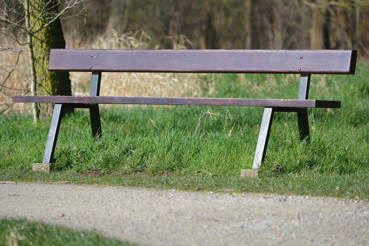 bank bench wooden bench free photo