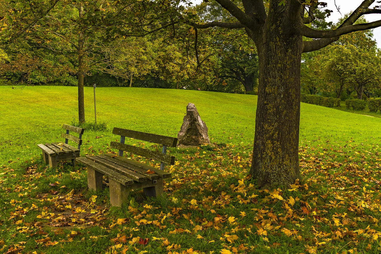 bank autumn resting place free photo