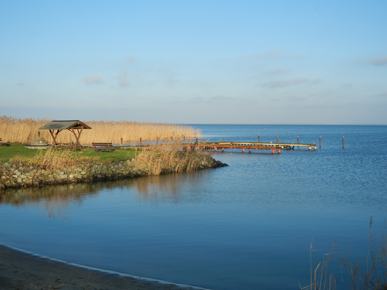 bank  water  reed free photo