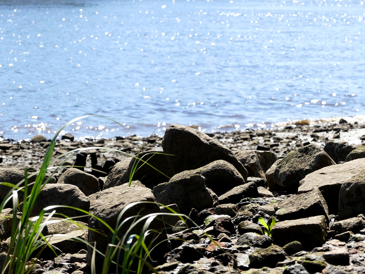 bank  stones  water free photo