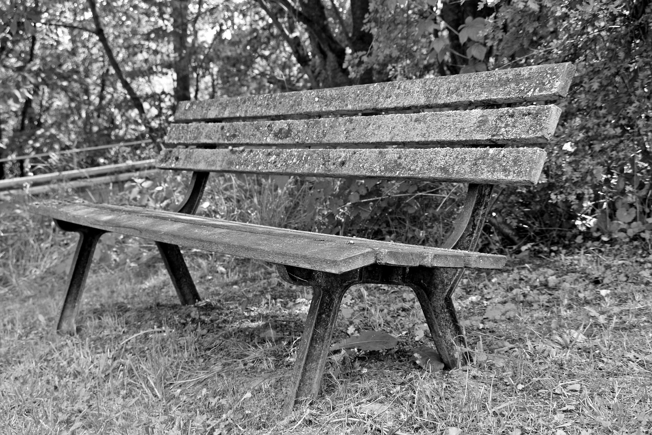 bank wooden bench bench free photo