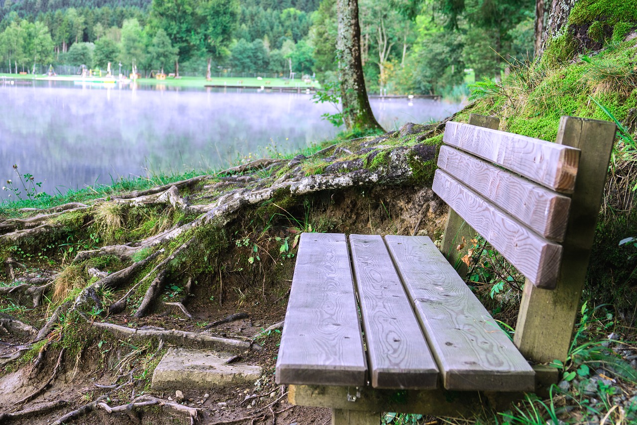 bank  lake  wooden bench free photo