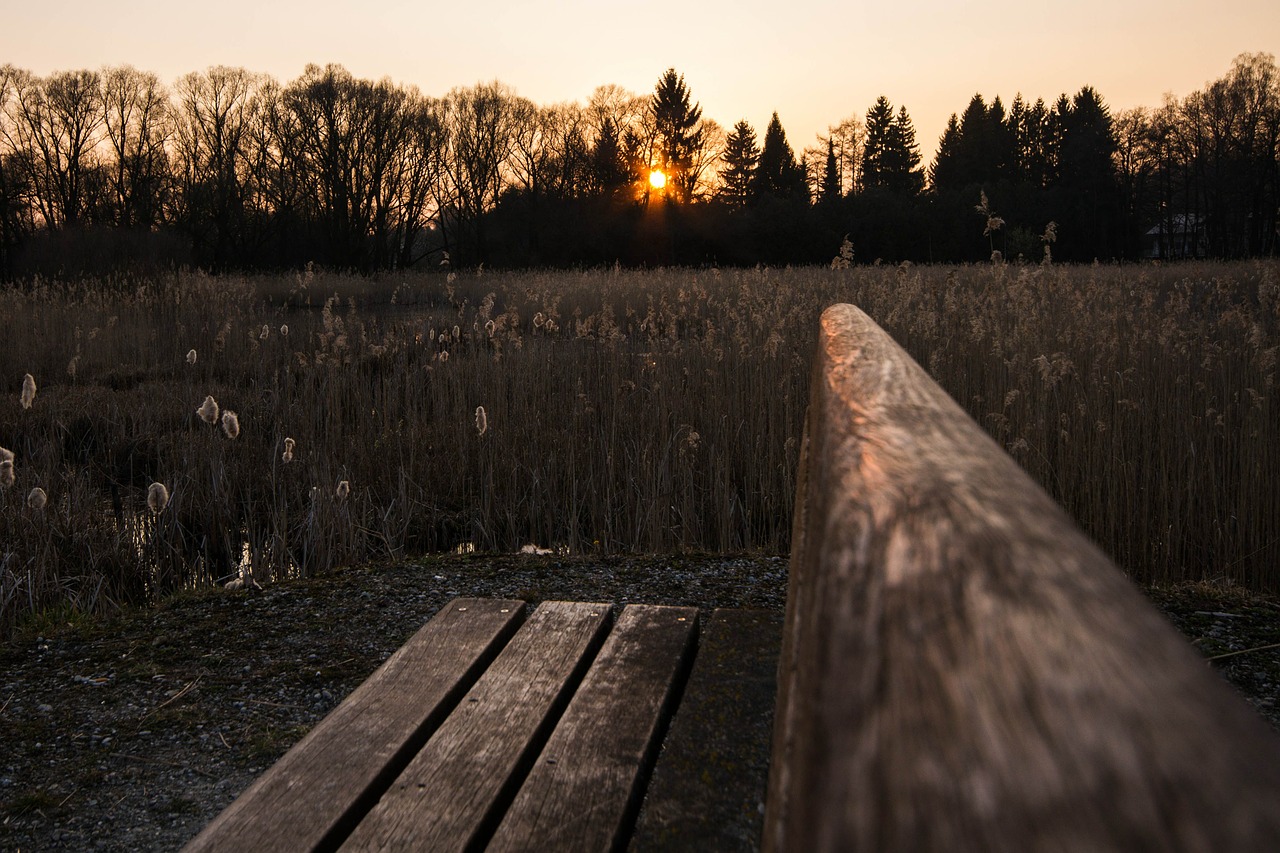 bank sunset twilight free photo