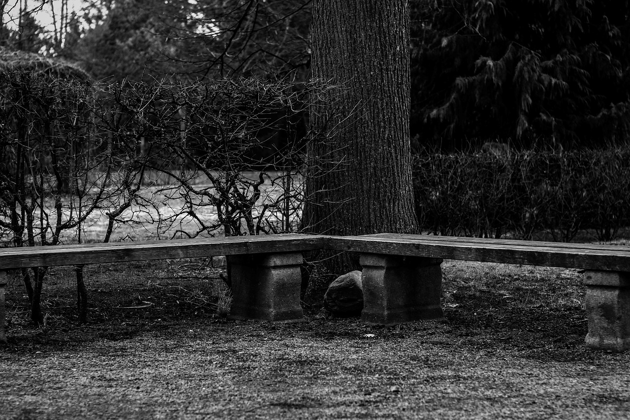 bank  wooden bench  bench free photo