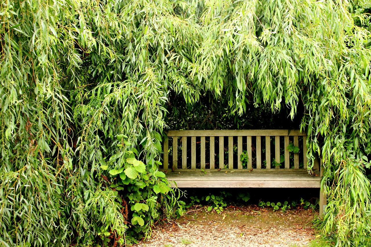 bank rest garden bench free photo