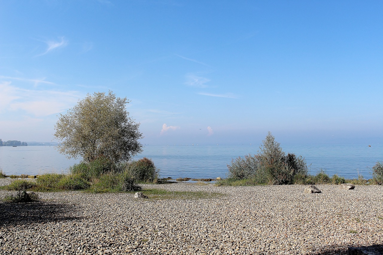 bank lakeside shore stones free photo