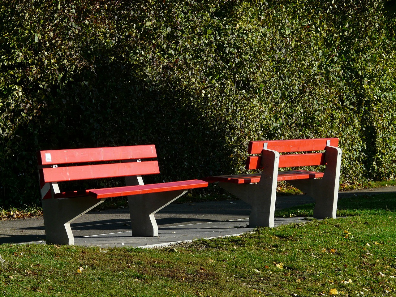 bank park bench park free photo