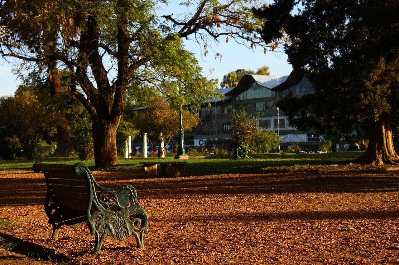 bank park garden bench free photo