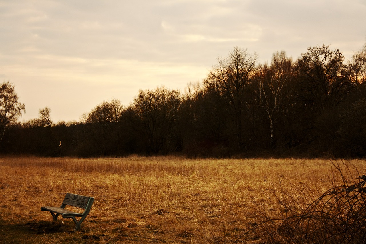 bank evening rest free photo