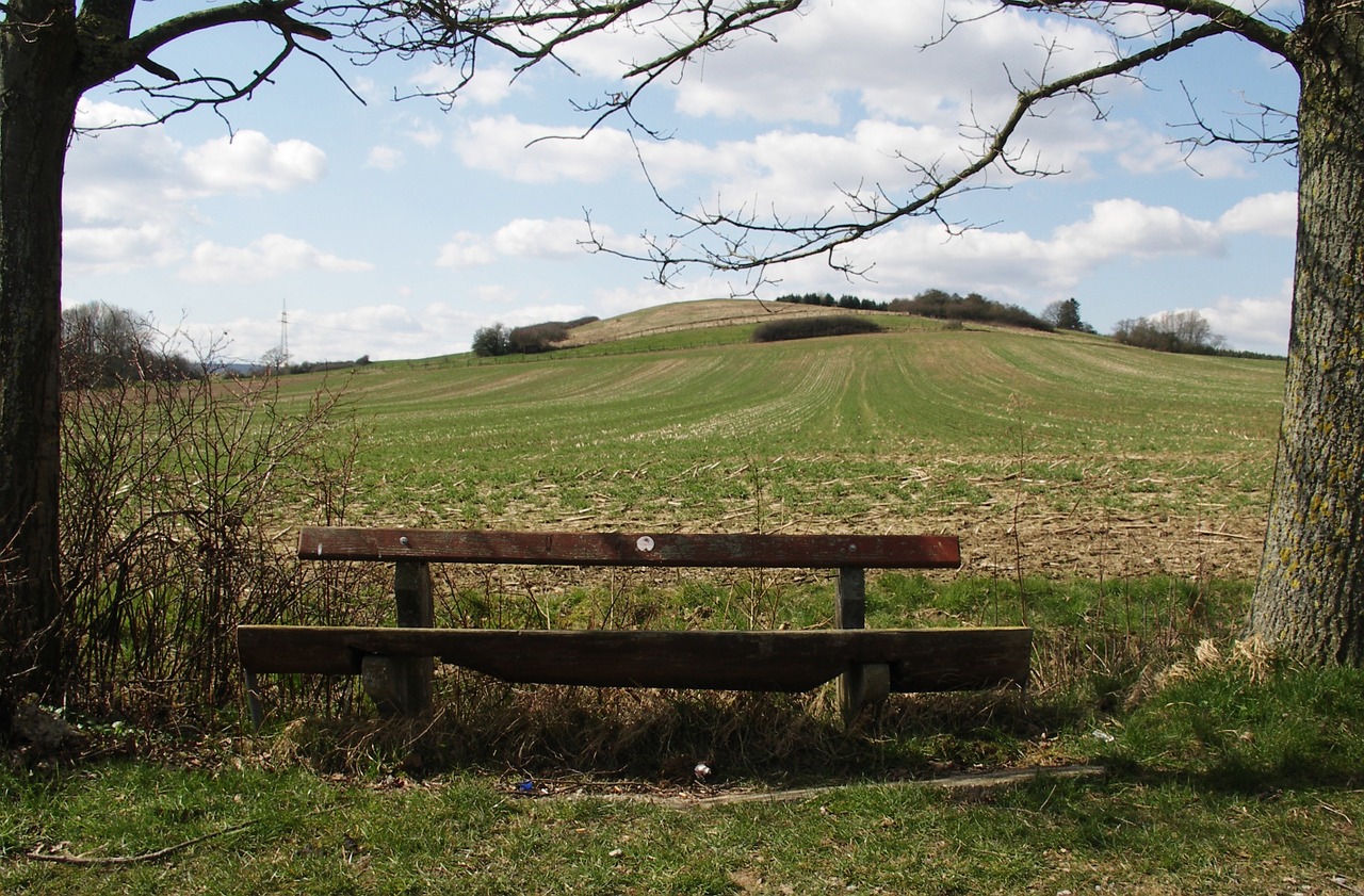 bank wooden bench bench free photo