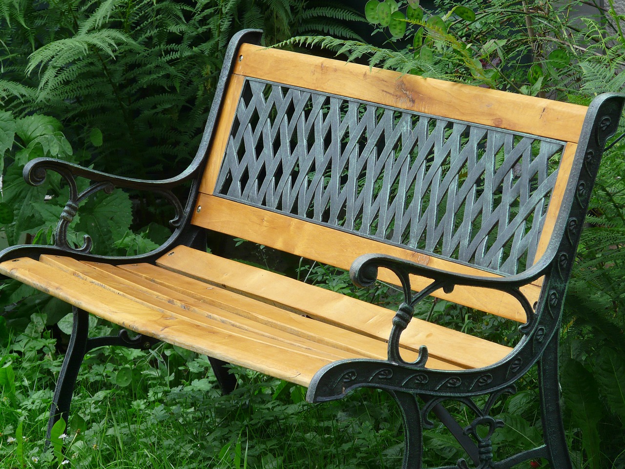 bank,garden bench,sit,space,seat,garden,wood,metal,cozy,free pictures, free photos, free images, royalty free, free illustrations, public domain