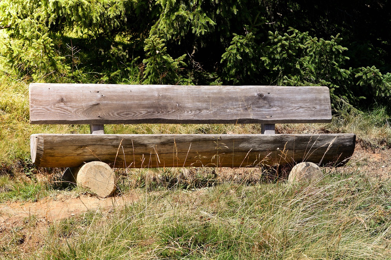 bank wooden bench nature free photo