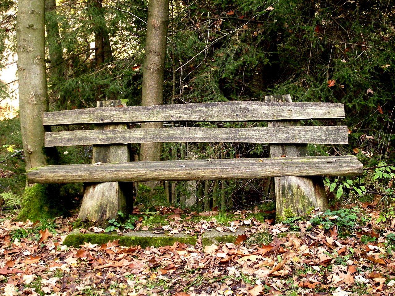 bank wooden bench seat free photo