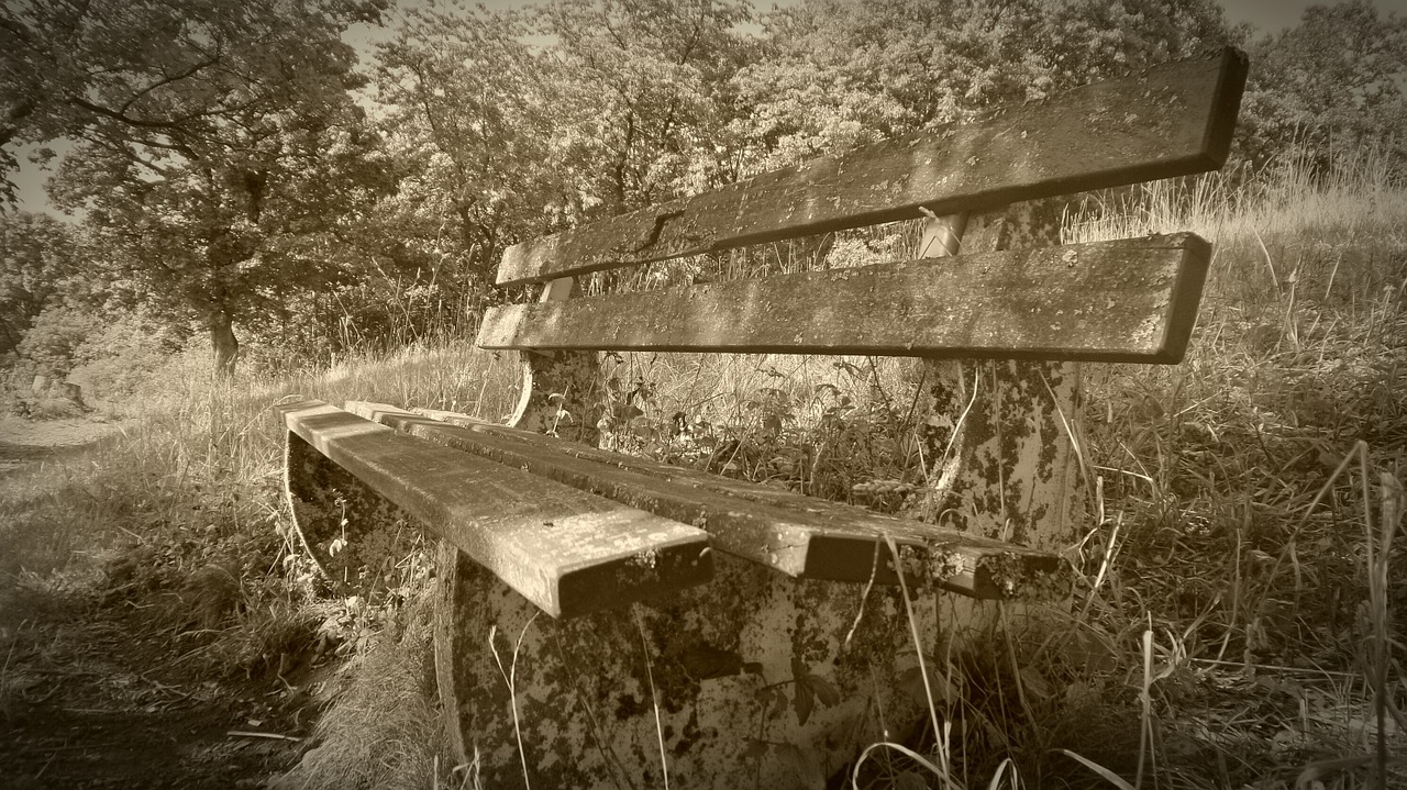 bank bench out free photo