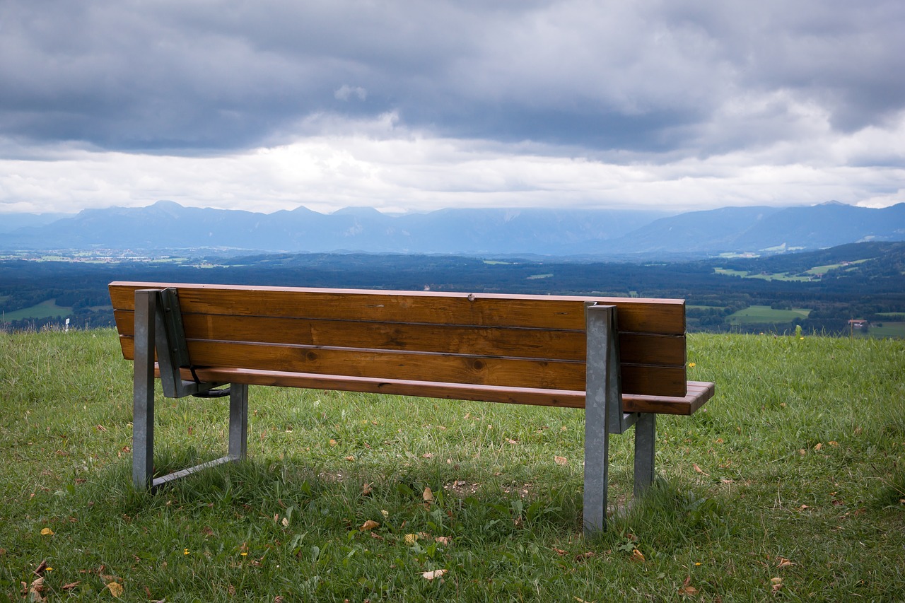 bank alpine viewpoint free photo