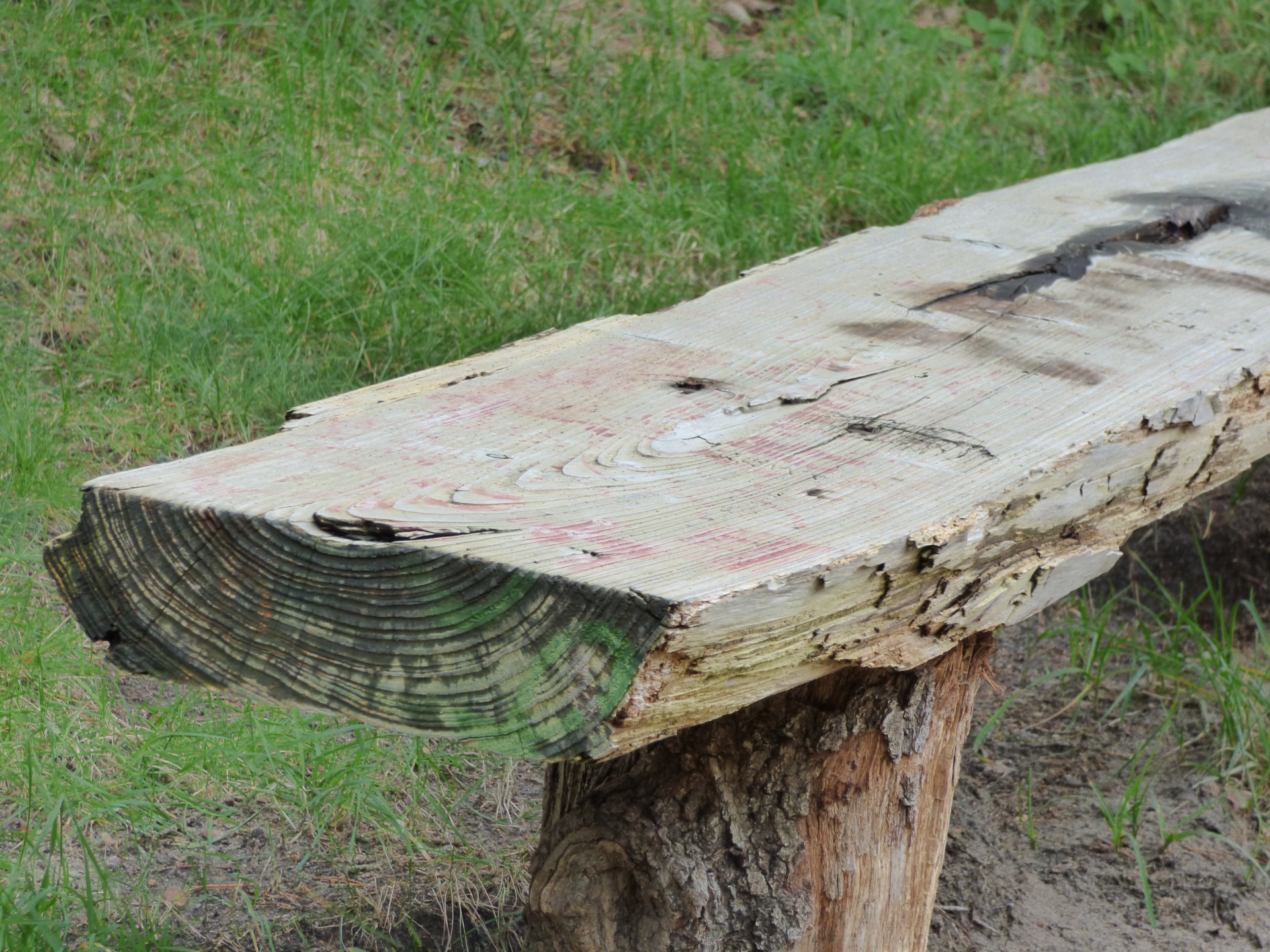 bench wooden bench nature free photo