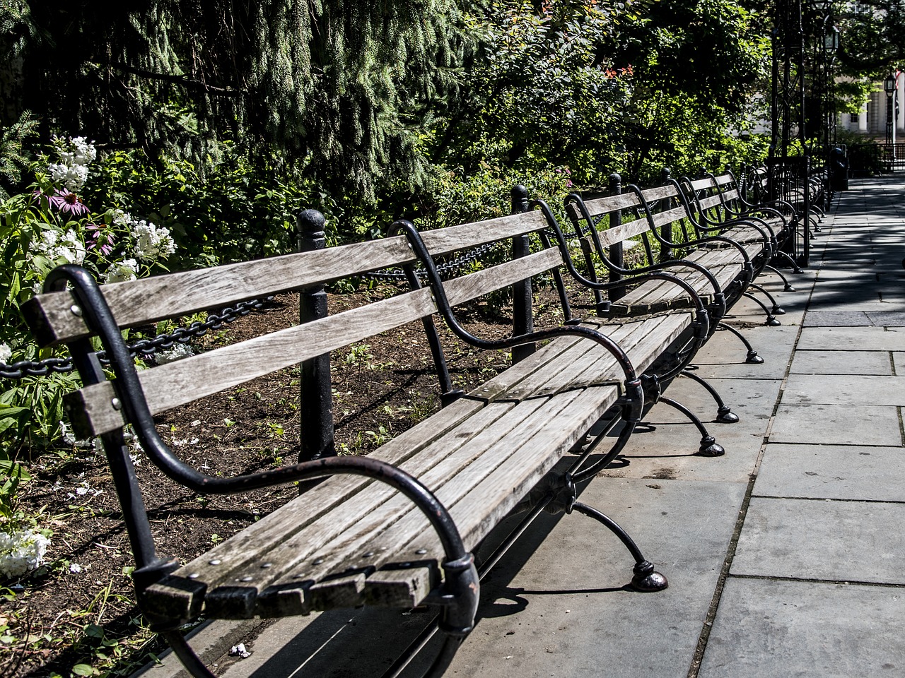 banks park garden bench free photo