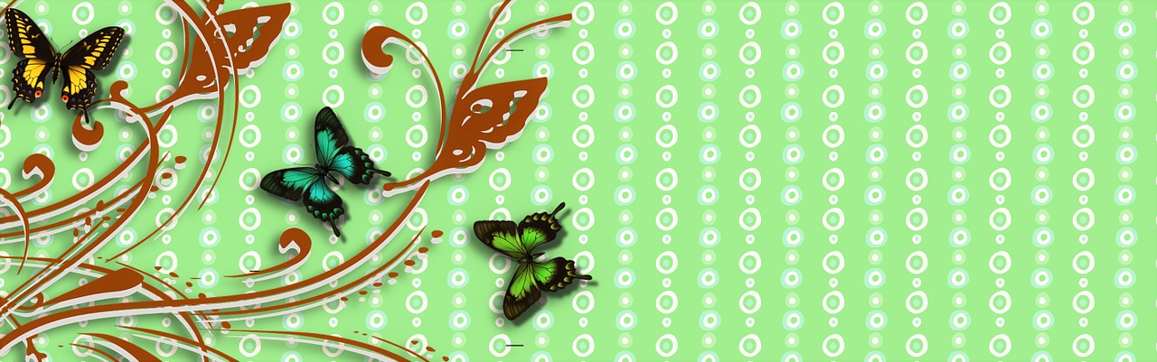 banner header butterfly free photo