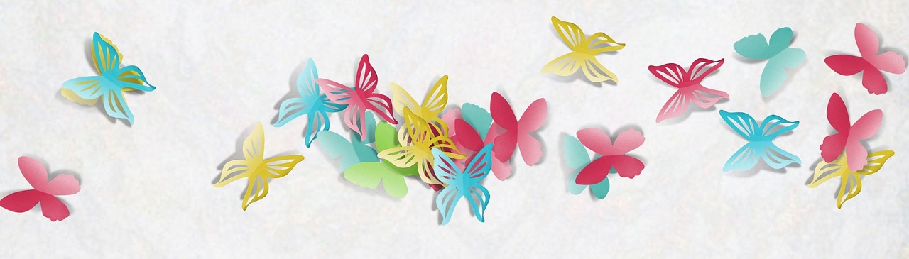 banner template butterfly free photo