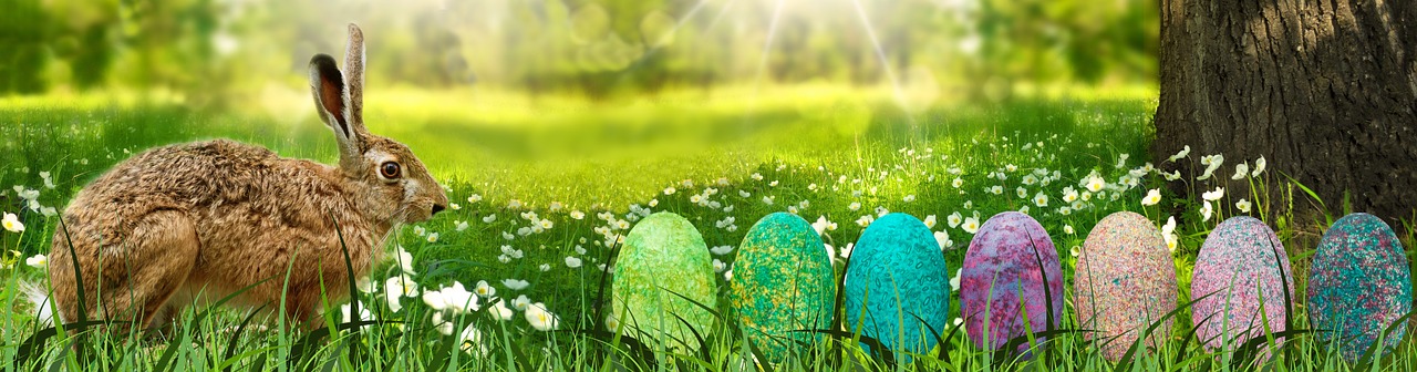 banner easter hare free photo