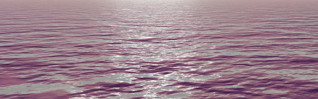 banner header sea free photo