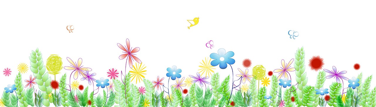 banner spring flower free photo