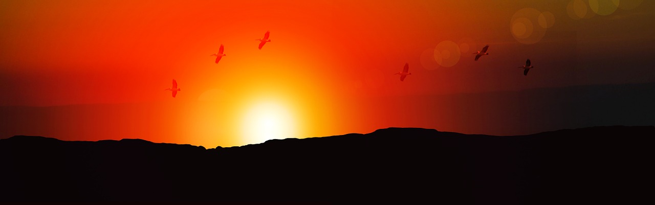 banner header sunrise free photo