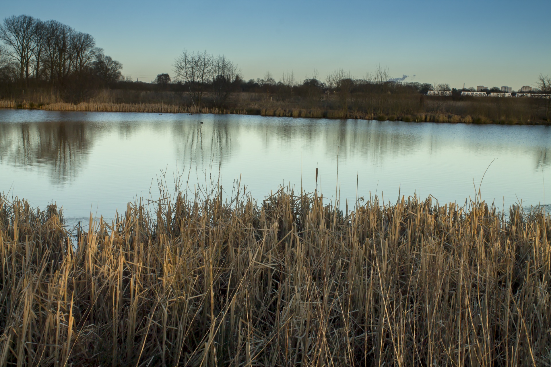 lake landscape nature free photo