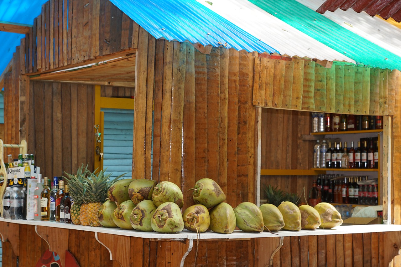 bar coconuts coco loco free photo