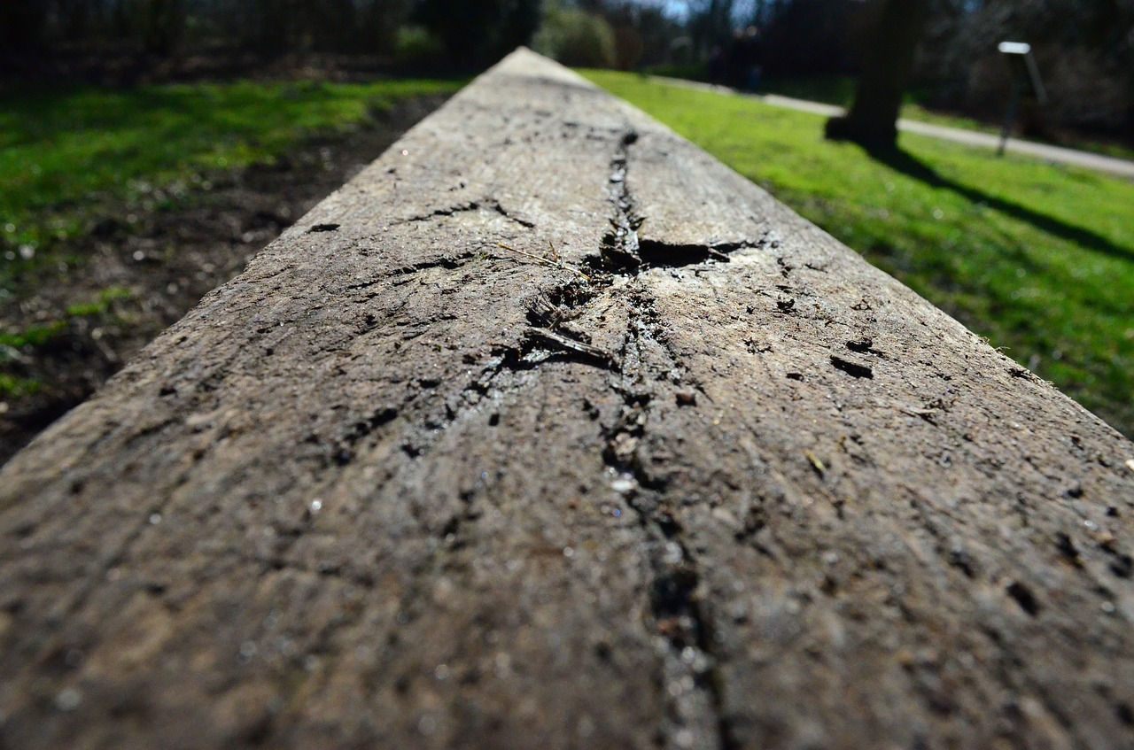 bar balance beam boardwalk free photo