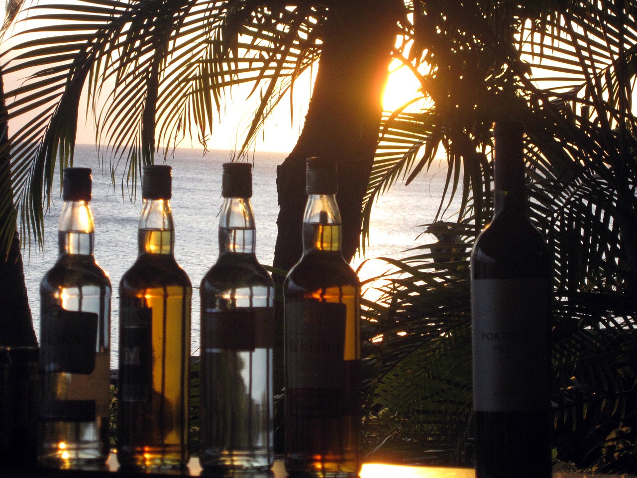 bar bottles sunset free photo