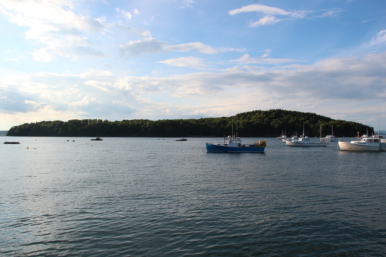 bar island maine lake water free photo