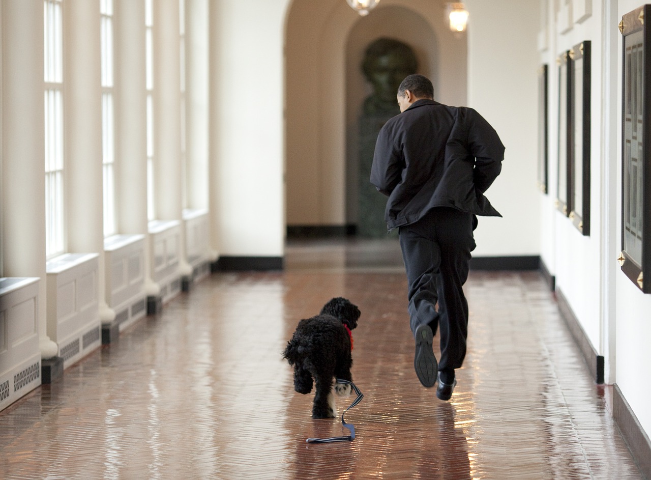 barack obama and bo play run free photo