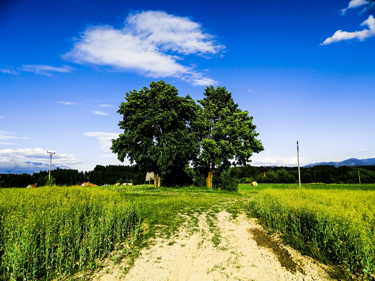 baranec liptov sky free photo