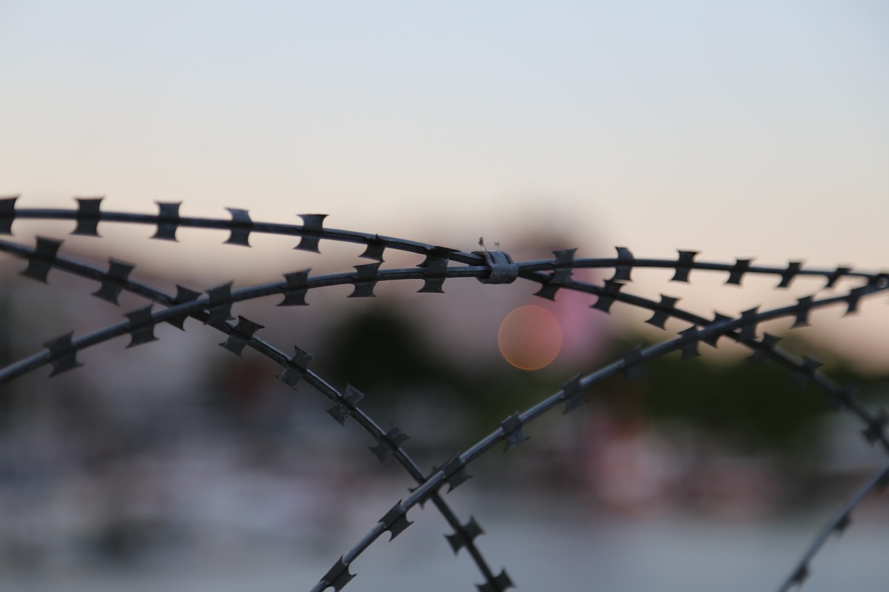 barb wire fence barbed wire free photo