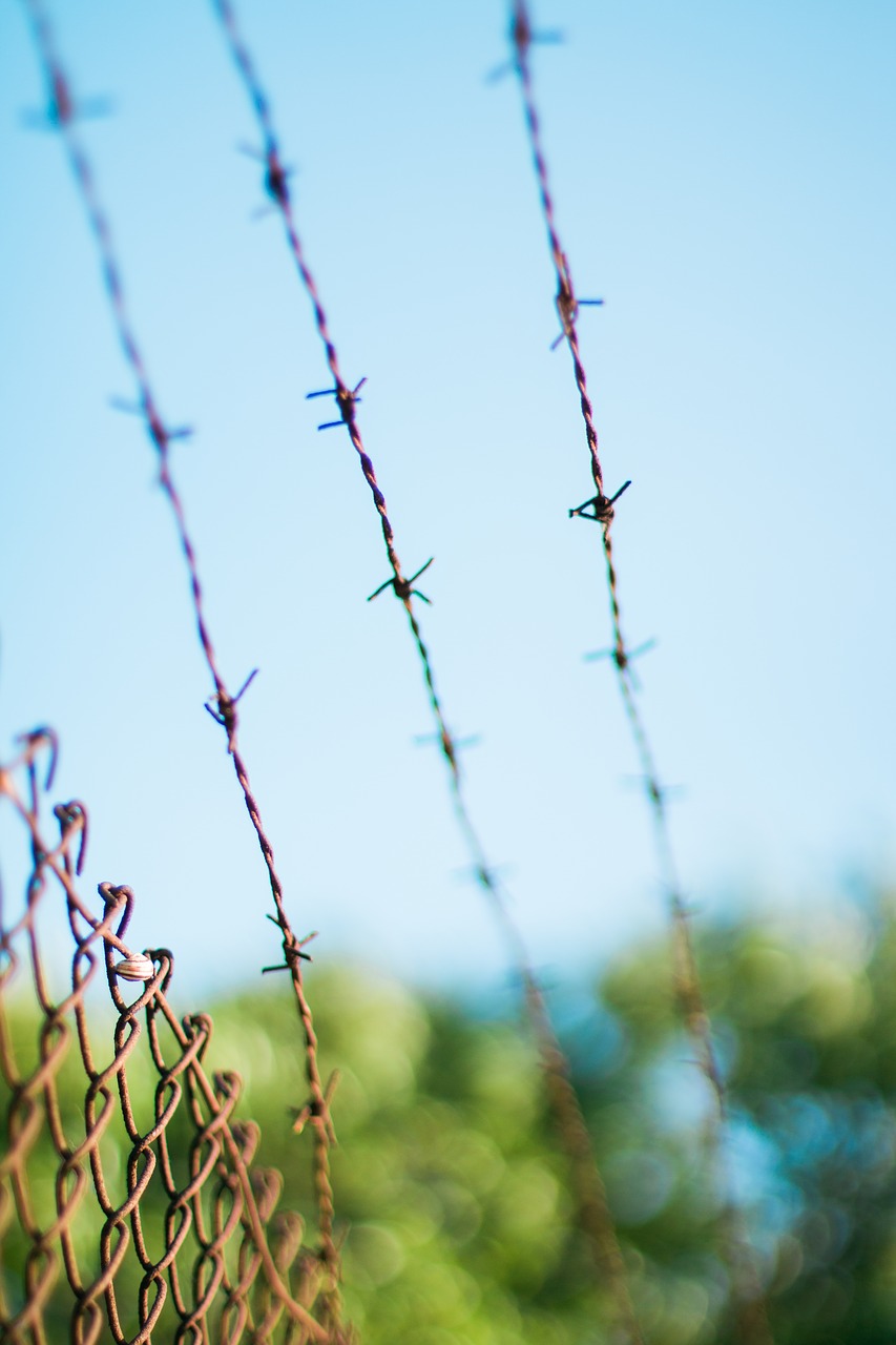 barb wires barbed wires fence free photo