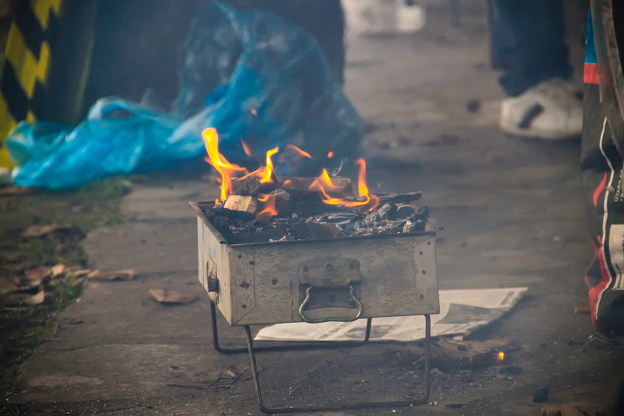 barbecue coal picnic free photo