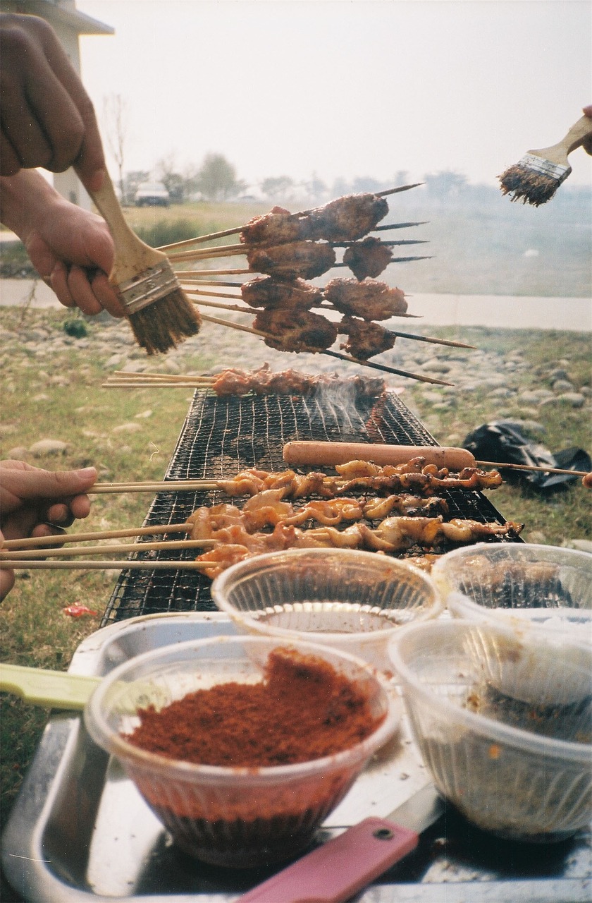 barbecue picnic spring free photo
